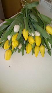 post-34489-0-84796700-1520402755_thumb.j